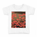 tシャツ キッズ 半袖 白地 デザイン 110 サイズ Tシャツ ティーシャツ T shirt 000139 秋 もみじ 風景 紅葉(4)