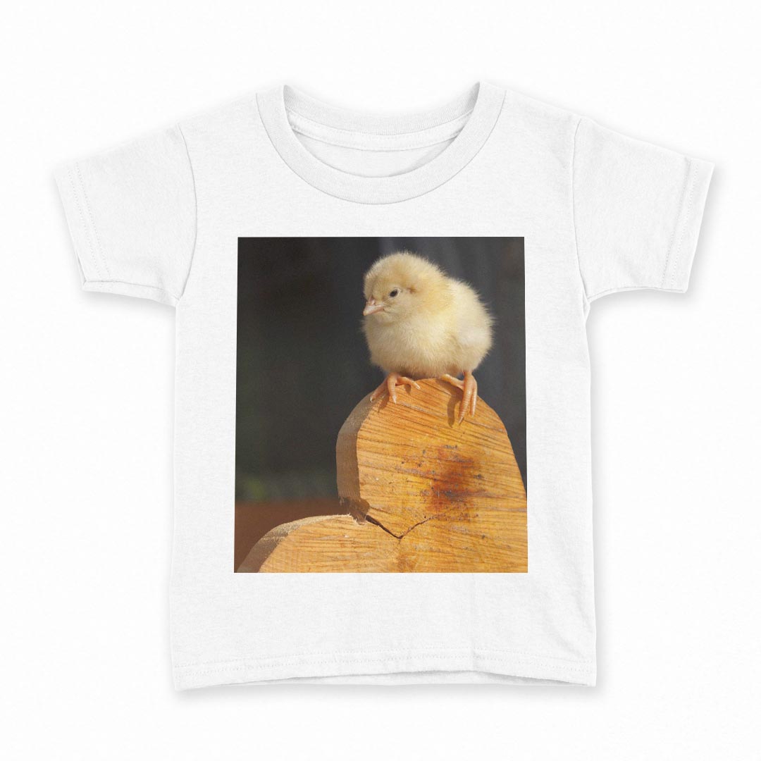 tシャツ キッズ 半袖 白地 デザイン 140 サイズ Tシャツ ティーシャツ T shirt 001101 ヒヨコ　ハート