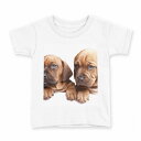 tシャツ キッズ 半袖 白地 デザイン 100 サイズ Tシャツ ティーシャツ T shirt 001153 犬 動物(4)