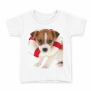 tシャツ キッズ 半袖 白地 デザイン 130 サイズ Tシャツ ティーシャツ T shirt 001242 犬 動物(4)