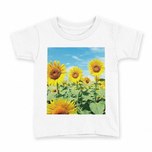 tシャツ キッズ 半袖 白地 デザイン 90 Tシャツ ティーシャツ T shirt 002501 花 ひまわり 写真 tシャツ キッズ 半袖 白地 デザイン 90 Tシャツ ティーシャツ T shirt 002501 花 ひまわり 写真