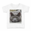 tシャツ キッズ 半袖 白地 デザイン 110 サイズ Tシャツ ティーシャツ T shirt 002650 猫 動物 写真(4)