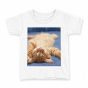 tシャツ キッズ 半袖 白地 デザイン 140 サイズ Tシャツ ティーシャツ T shirt 002759 猫 動物 写真(4)