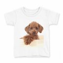 tシャツ キッズ 半袖 白地 デザイン 120 サイズ Tシャツ ティーシャツ T shirt 002769 犬 動物 写真(4)