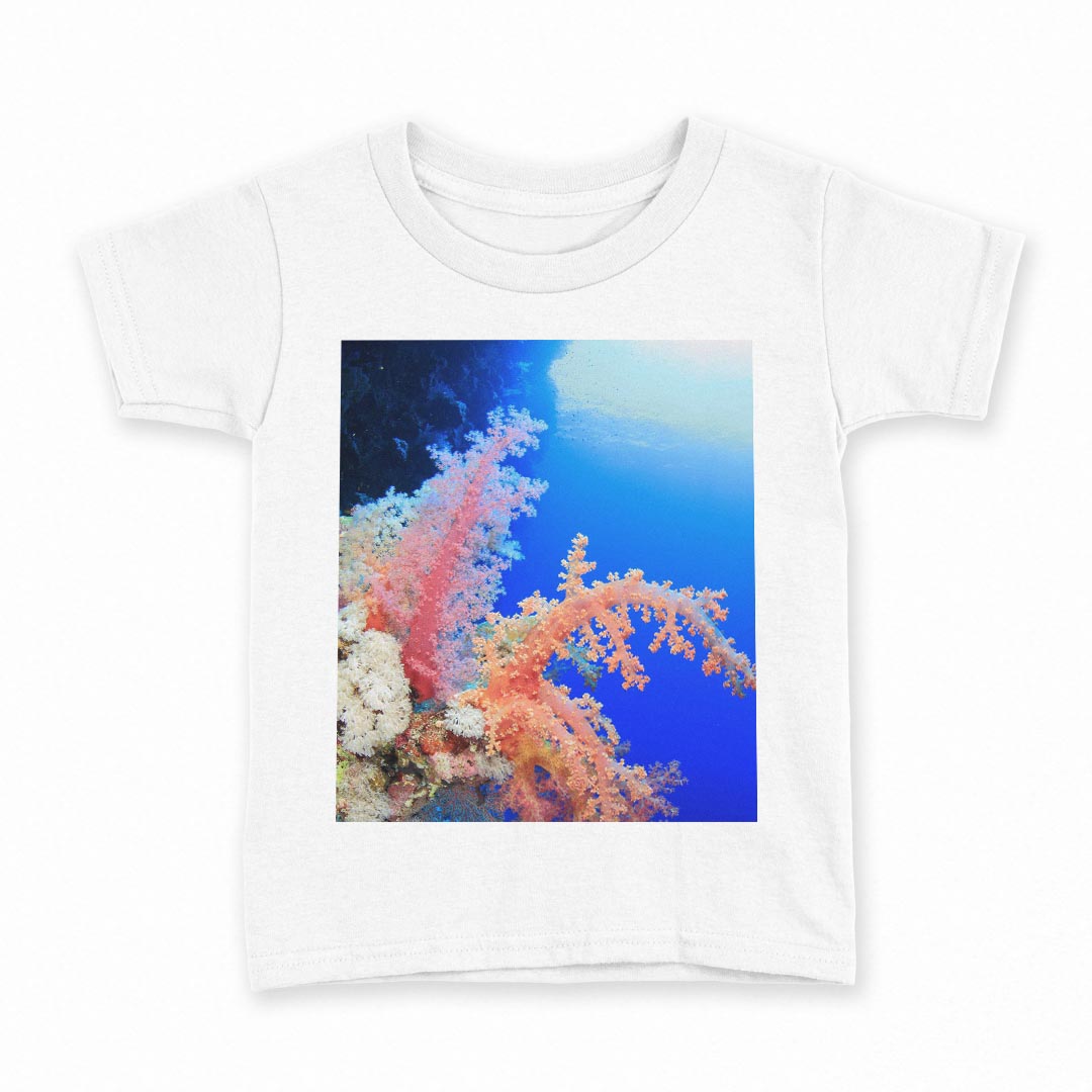 tシャツ キッズ 半袖 白地 デザイン 140 サイズ Tシャツ ティーシャツ T shirt 003341 海　写真　景色..