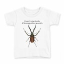 tシャツ キッズ 半袖 白地 デザイン 90 Tシャツ ティーシャツ T shirt 020003 チリクワガタ(4)