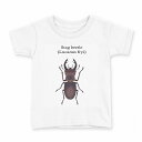 tシャツ キッズ 半袖 白地 デザイン 100 サイズ Tシャツ ティーシャツ T shirt 020007 stag beetle クワガタムシ(4)