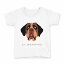 tシャツ キッズ 半袖 白地 デザイン 90 Tシャツ ティーシャツ T shirt 022606 犬 セント・バーナード 1,580円
