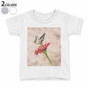 tシャツ キッズ 半袖 白地 デザイン 120 サイズ Tシャツ ティーシャツ T shirt 023047 蝶々 花 写真