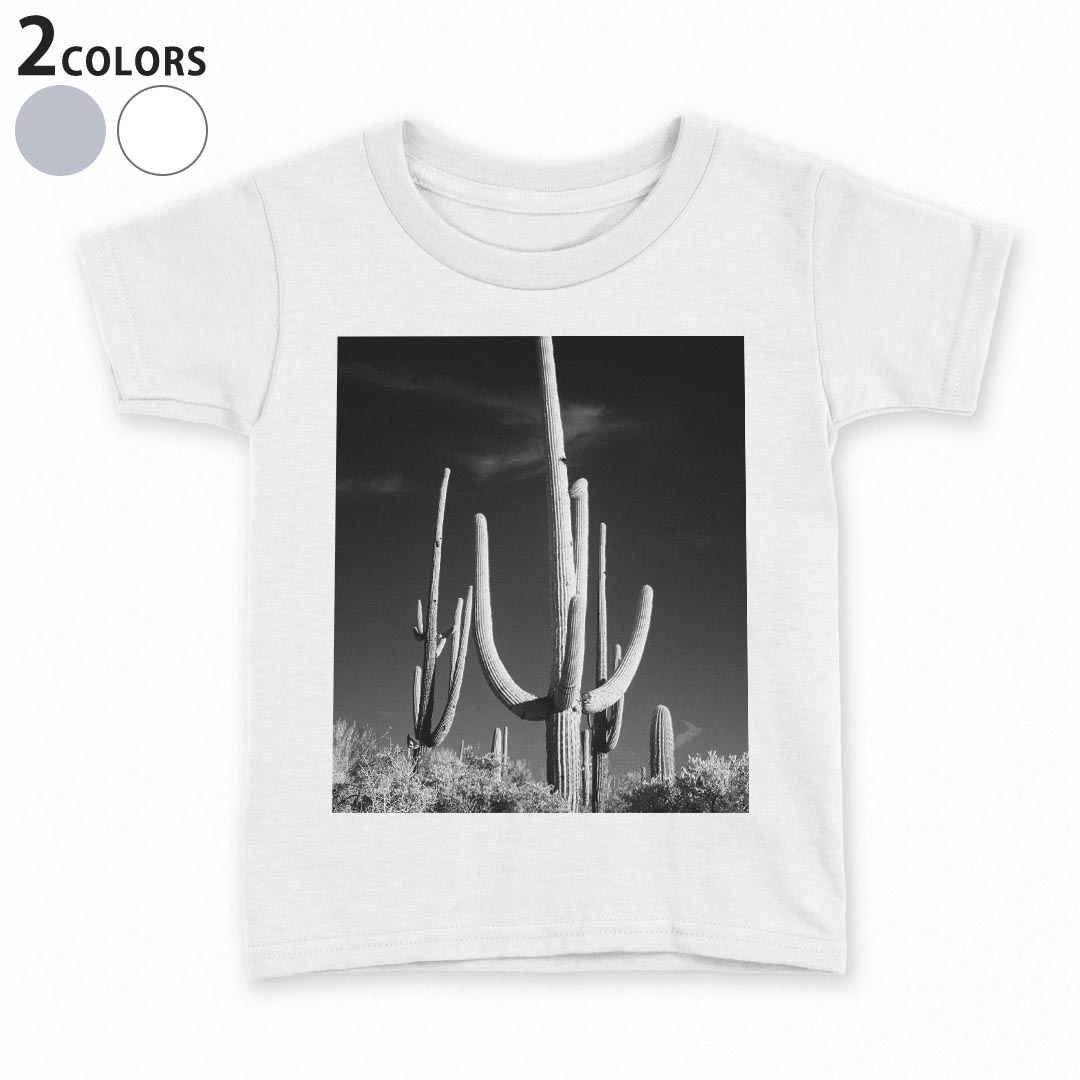 tシャツ キッズ 半袖 白地 デザイン 130 サイズ Tシャツ ティーシャツ T shirt 023052 サボテン モノクロ 写真