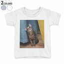 tシャツ キッズ 半袖 白地 デザイン 130 サイズ Tシャツ ティーシャツ T shirt 023082 猫 ねこ 動物 写真