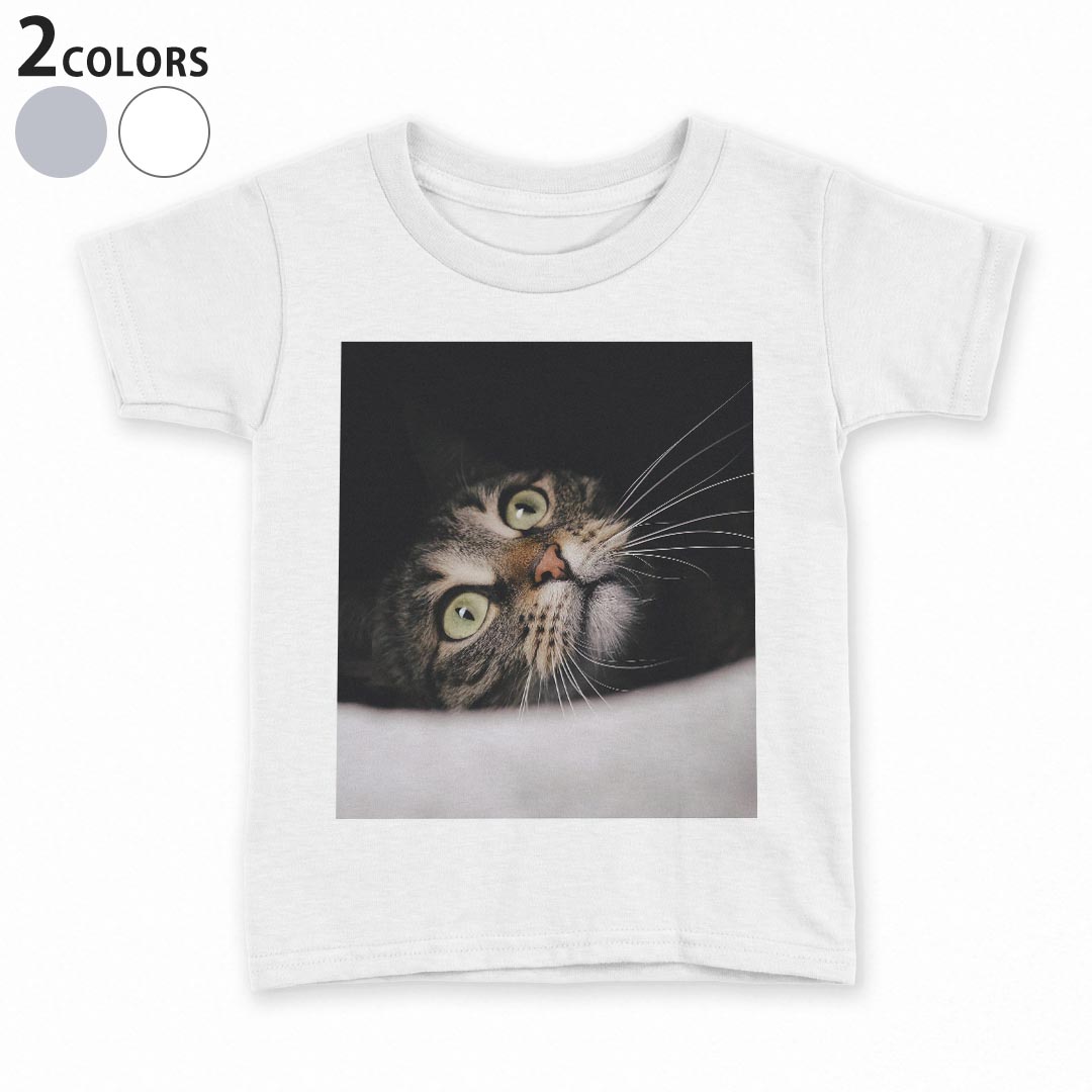 Other - tシャツ キッズ 半袖 白地 デザイン 100 サイズ Tシャツ ティーシャツ T shirt 023089 猫　ねこ　動物　写真