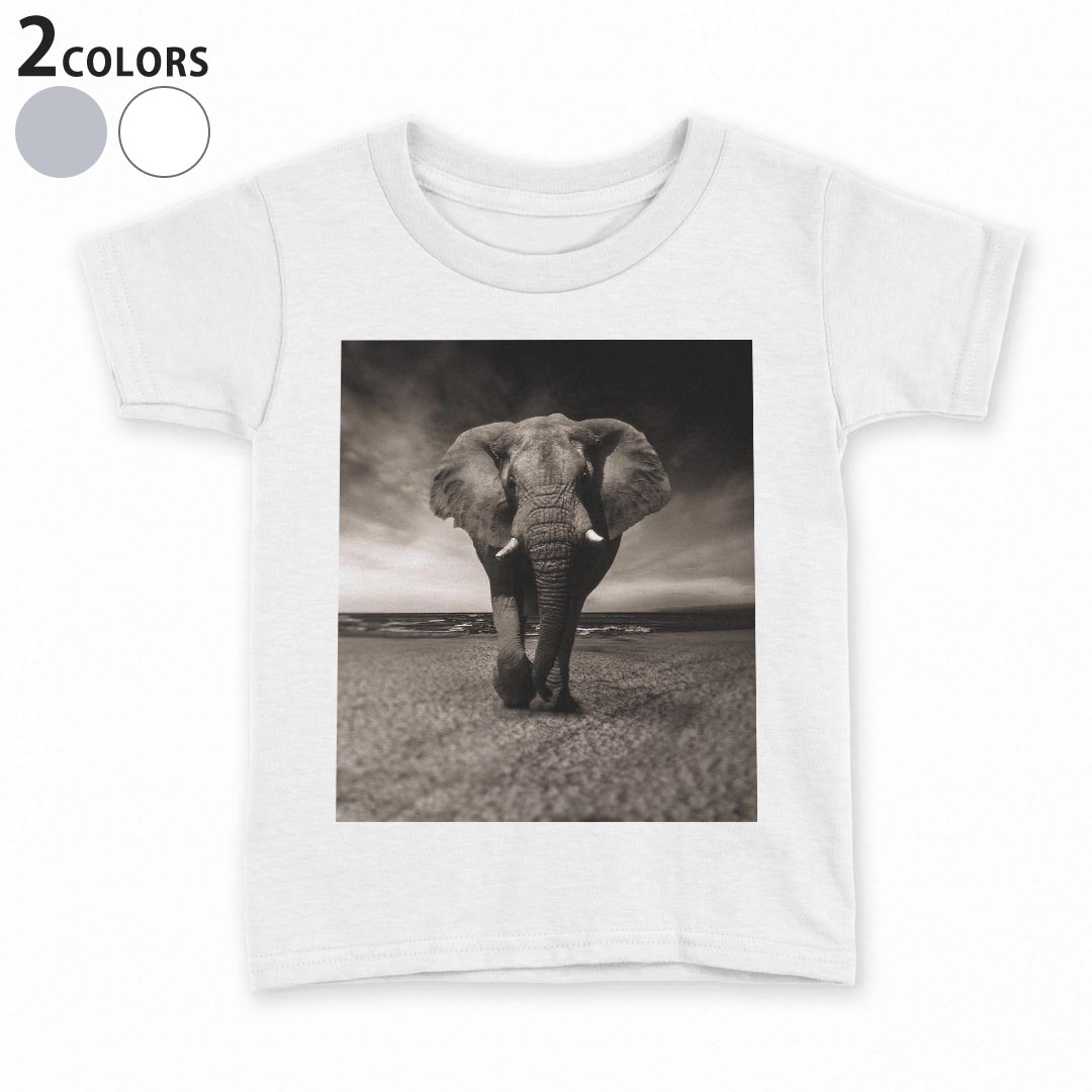 tシャツ キッズ 半袖 白地 デザイン 130 サイズ Tシャツ ティーシャツ T shirt 023246 ゾウ　動物　ア..