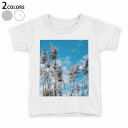 tシャツ キッズ 半袖 白地 デザイン 130 サイズ Tシャツ ティーシャツ T shirt 023406 写真 景色 パンパスグラス(4)