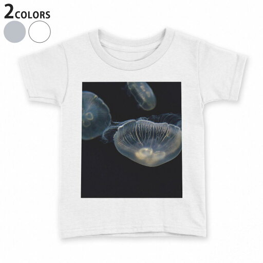 tシャツ キッズ 半袖 白地 デザイン 160 サイズ Tシャツ ティーシャツ T shirt 023476 くらげ 写真 海 tシャツ キッズ 半袖 白地 デザイン 160 サイズ Tシャツ ティーシャツ T shirt 023476 くらげ 写真 海
