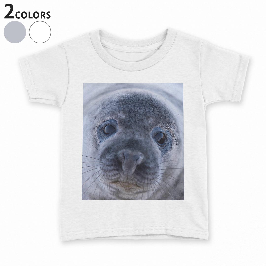 tシャツ キッズ 半袖 白地 デザイン 110 サイズ Tシャツ ティーシャツ T shirt 023781 あざらし 動物