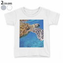 tシャツ キッズ 半袖 白地 デザイン 130 サイズ Tシャツ ティーシャツ T shirt 023782 カメ 海 写真(4)
