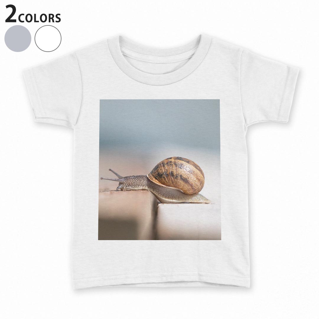 tシャツ キッズ 半袖 白地 デザイン 140 サイズ Tシャツ ティーシャツ T shirt 023810 かたつむり　写真