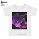 tシャツ キッズ 半袖 白地 デザイン 150 サイズ Tシャツ ティーシャツ T shirt 023878 花 フラワー 朝顔(4)