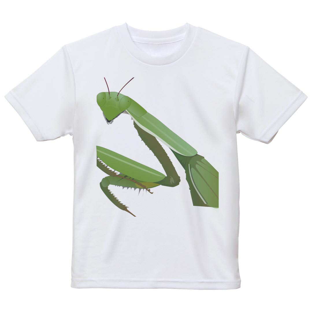 tシャツ キッズ 半袖 白地 デザイン 120 サイズ Tシャツ ティーシャツ T shirt 026234 虫　カマキリ