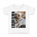tシャツ キッズ 半袖 白地 デザイン 140 サイズ Tシャツ ティーシャツ T shirt 004565 犬 写真 ピアノ(4)