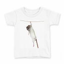 tシャツ キッズ 半袖 白地 デザイン 110 サイズ Tシャツ ティーシャツ T shirt 005911 写真 動物 ねずみ