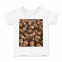 tシャツ キッズ 半袖 白地 デザイン 90 Tシャツ ティーシャツ T shirt 006194 写真 どんぐり(4)