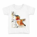 tシャツ キッズ 半袖 白地 デザイン 160 サイズ Tシャツ ティーシャツ T shirt 006282 鳥 音符 楽譜(4)