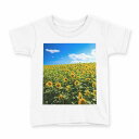 tシャツ キッズ 半袖 白地 デザイン 150 サイズ Tシャツ ティーシャツ T shirt 007936 写真 花 向日葵 ひまわり(4)