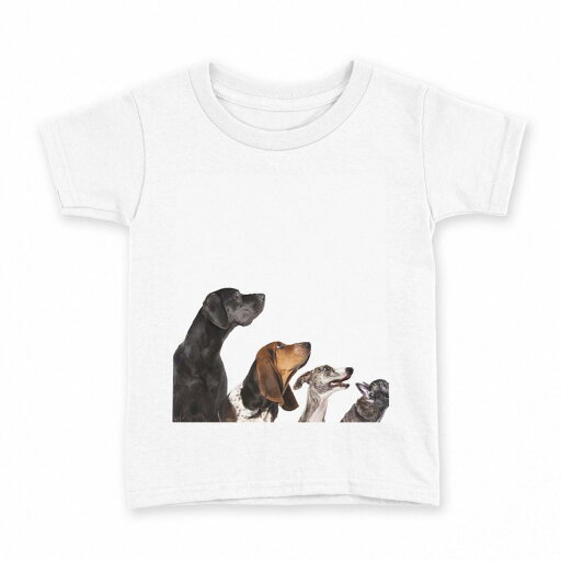 tシャツ キッズ 半袖 白地 デザイン 100 サイズ Tシャツ ティーシャツ T shirt 008190 写真 犬 いぬ 白 ホワイト tシャツ キッズ 半袖 白地 デザイン 100 サイズ Tシャツ ティーシャツ T shirt 008190 写真 犬 いぬ 白 ホワイト