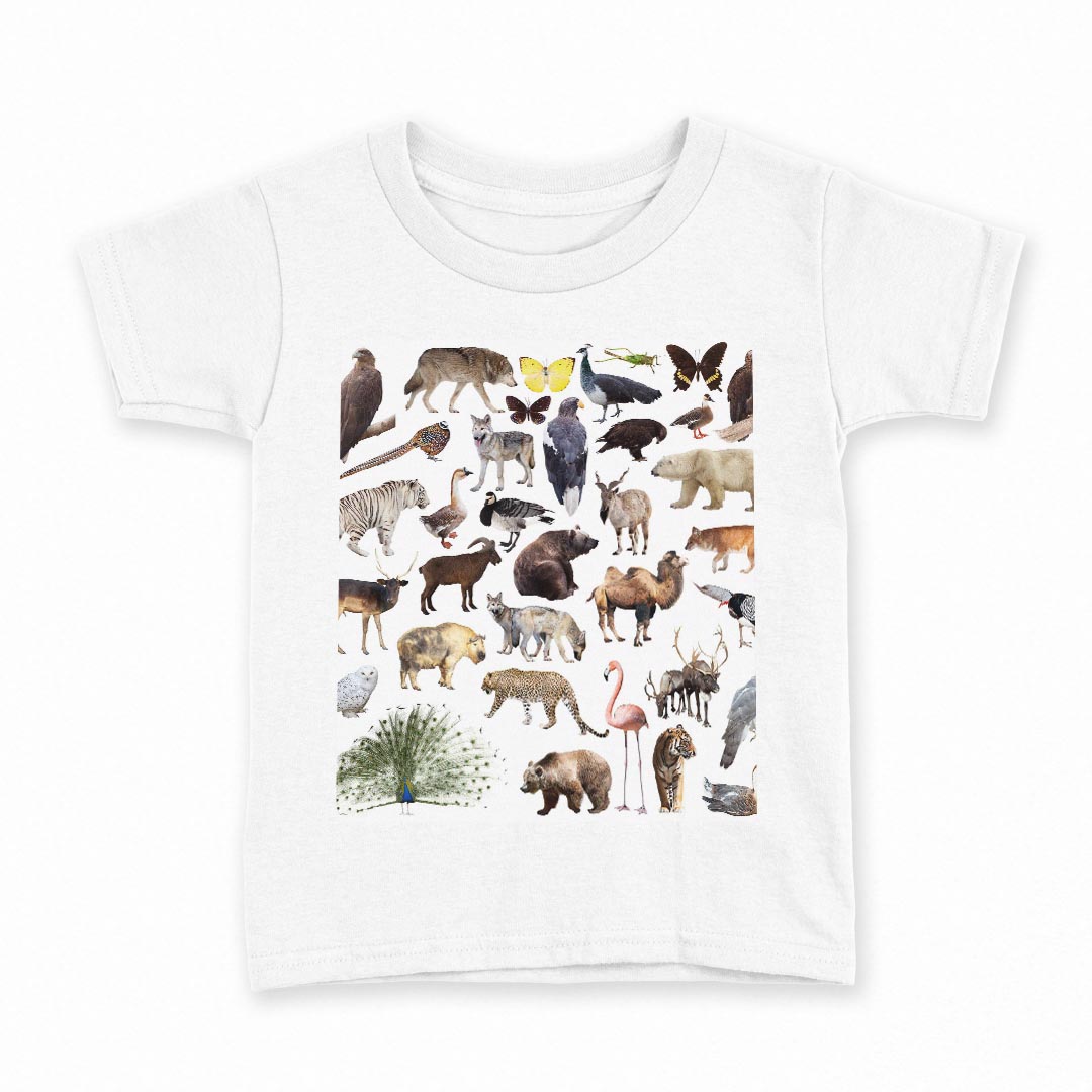 tシャツ キッズ 半袖 白地 デザイン 160 サイズ Tシャツ ティーシャツ T shirt 008845 写真 鳥 ヒョウ 熊