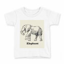 tシャツ キッズ 半袖 白地 デザイン 100 サイズ Tシャツ ティーシャツ T shirt 010950 ぞう 動物 英語(4)