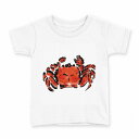 tシャツ キッズ 半袖 白地 デザイン 160 サイズ Tシャツ ティーシャツ T shirt 013264 かに 海 絵