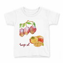 tシャツ キッズ 半袖 白地 デザイン 100 サイズ Tシャツ ティーシャツ T shirt 014791 マンゴー 果物 夏(4)