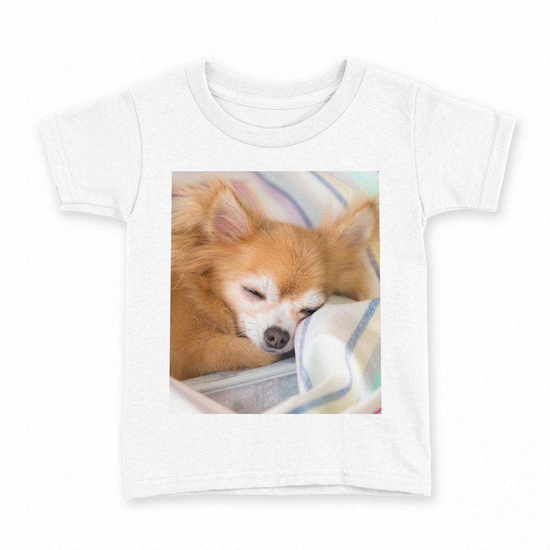 tシャツ キッズ 半袖 白地 デザイン 100 サイズ Tシャツ ティーシャツ T shirt 014826 犬　チワワ　写真