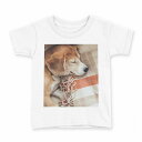 tシャツ キッズ 半袖 白地 デザイン 160 サイズ Tシャツ ティーシャツ T shirt 014838 犬 昼寝(4)