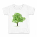 tシャツ キッズ 半袖 白地 デザイン 120 サイズ Tシャツ ティーシャツ T shirt 015657 木 樹木 自然 植物