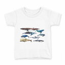tシャツ キッズ 半袖 白地 デザイン 150 サイズ Tシャツ ティーシャツ T shirt 015836 魚 海 くじら シャチ(4)