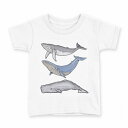 tシャツ キッズ 半袖 白地 デザイン 110 サイズ Tシャツ ティーシャツ T shirt 015851 魚 くじら 海