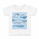 tシャツ キッズ 半袖 白地 デザイン 130 サイズ Tシャツ ティーシャツ T shirt 016134 魚(4)