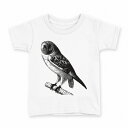 tシャツ キッズ 半袖 白地 デザイン 110 サイズ Tシャツ ティーシャツ T shirt 017479 リアル フクロウ 鳥(4)