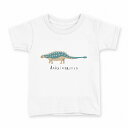 tシャツ キッズ 半袖 白地 デザイン 100 サイズ Tシャツ ティーシャツ T shirt 017691 アンキロサウルス Ankylosaurus 恐竜(4)