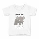 tシャツ キッズ 半袖 白地 デザイン 150 サイズ Tシャツ ティーシャツ T shirt 019106 アニマル キッズ(4)