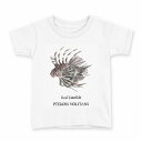 tシャツ キッズ 半袖 白地 デザイン 100 サイズ Tシャツ ティーシャツ T shirt 019736 海の生物 ハナミノカサゴ red lionfish(4)