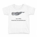 tシャツ キッズ 半袖 白地 デザイン 100 サイズ Tシャツ ティーシャツ T shirt 019742 海の生物 マッコウクジラ sperm whale(4)