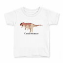 tシャツ キッズ 半袖 白地 デザイン 140 サイズ Tシャツ ティーシャツ T shirt 019773 恐竜 Ceratosaurus ケラトサウルス(4)