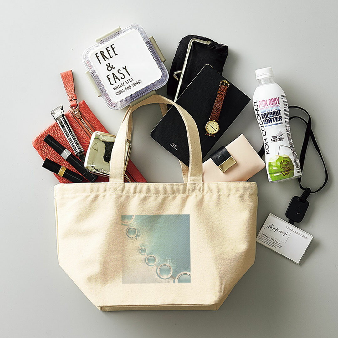 デザインランチバッグ キャンバス デイパック バッグ レディースバッグ トートバッグ ナチュラル 黒 black 001775 シンプル　模様　青