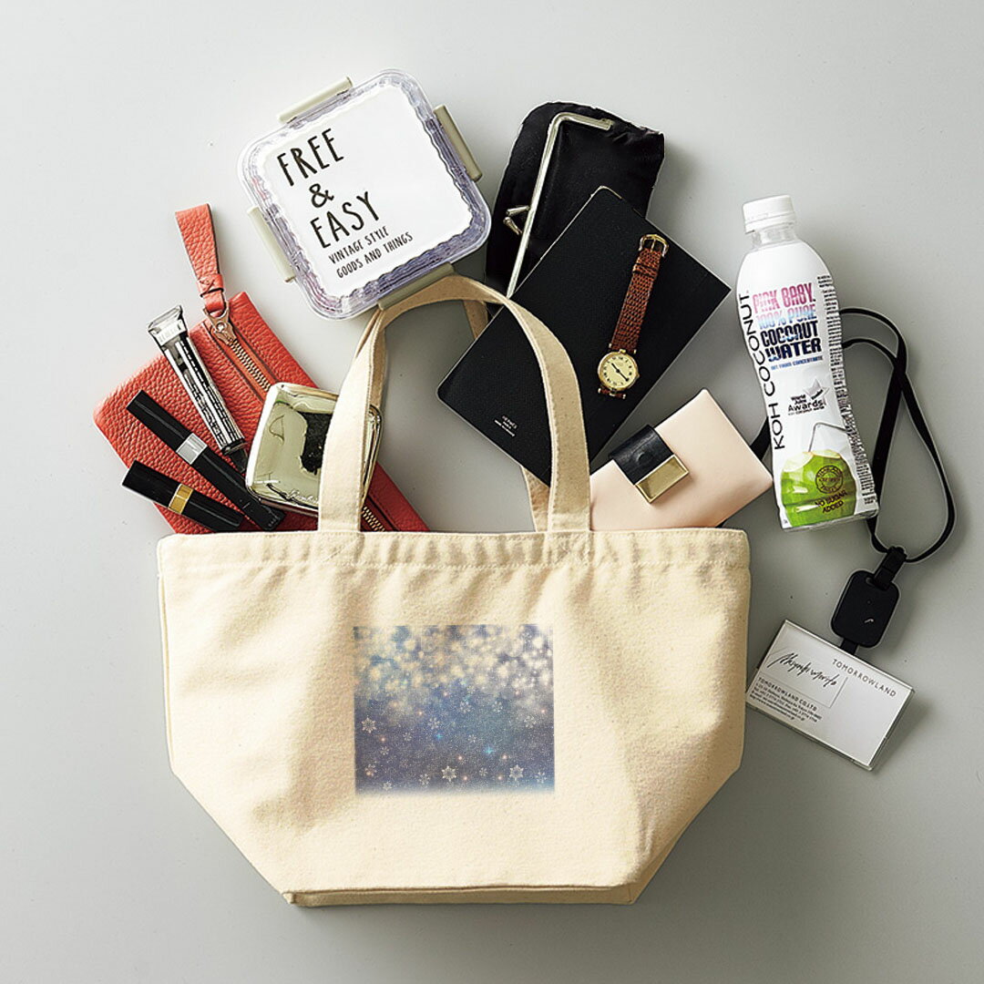 デザインランチバッグ キャンバス デイパック バッグ レディースバッグ トートバッグ ナチュラル 黒 black 012825 空　夜空　雪