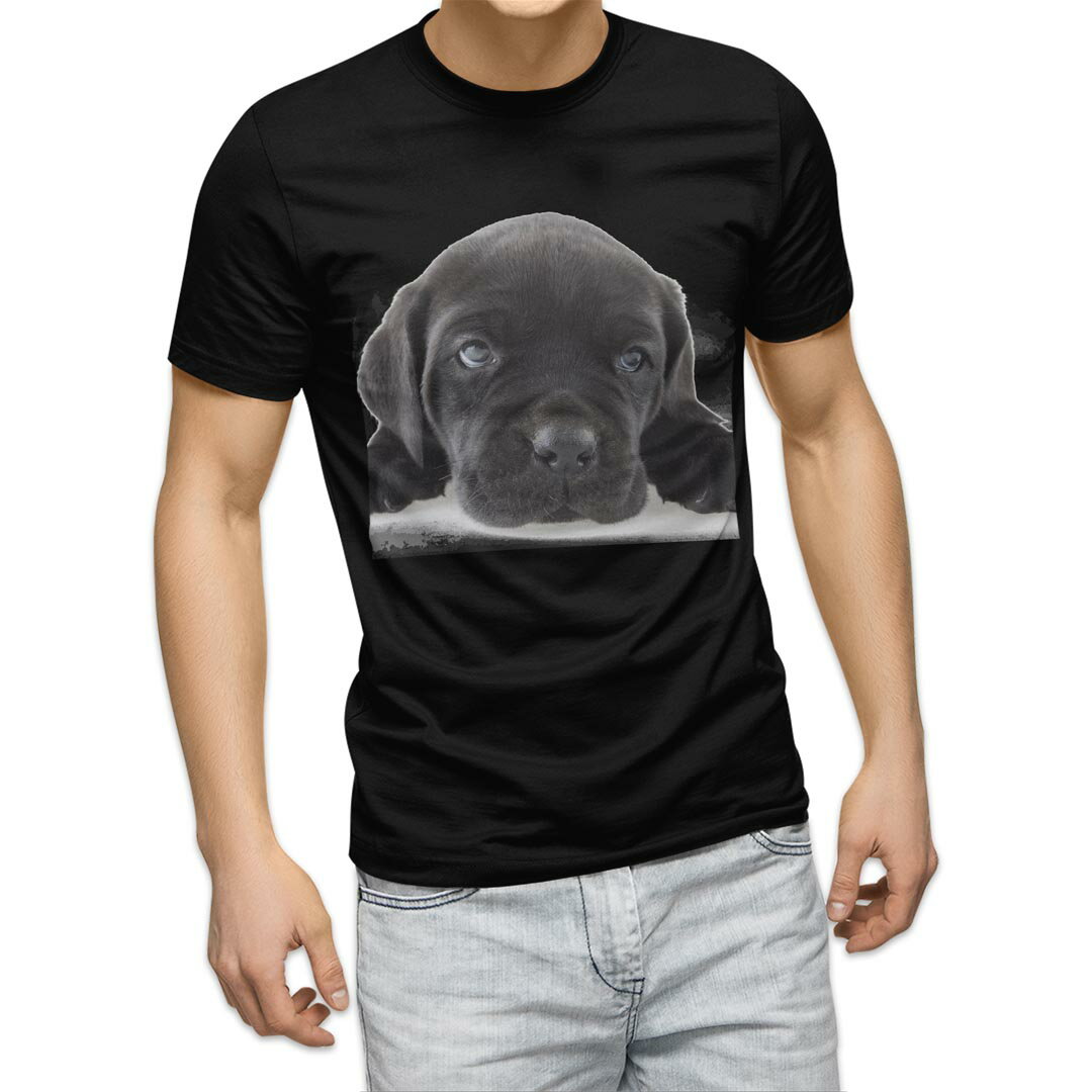 tシャツ メンズ 半袖 ブラック デザイン XS S M L XL 2XL Tシャツ ティーシャツ T shirt　黒 000127 犬　黒　フレンチブルドック　ダックスフント