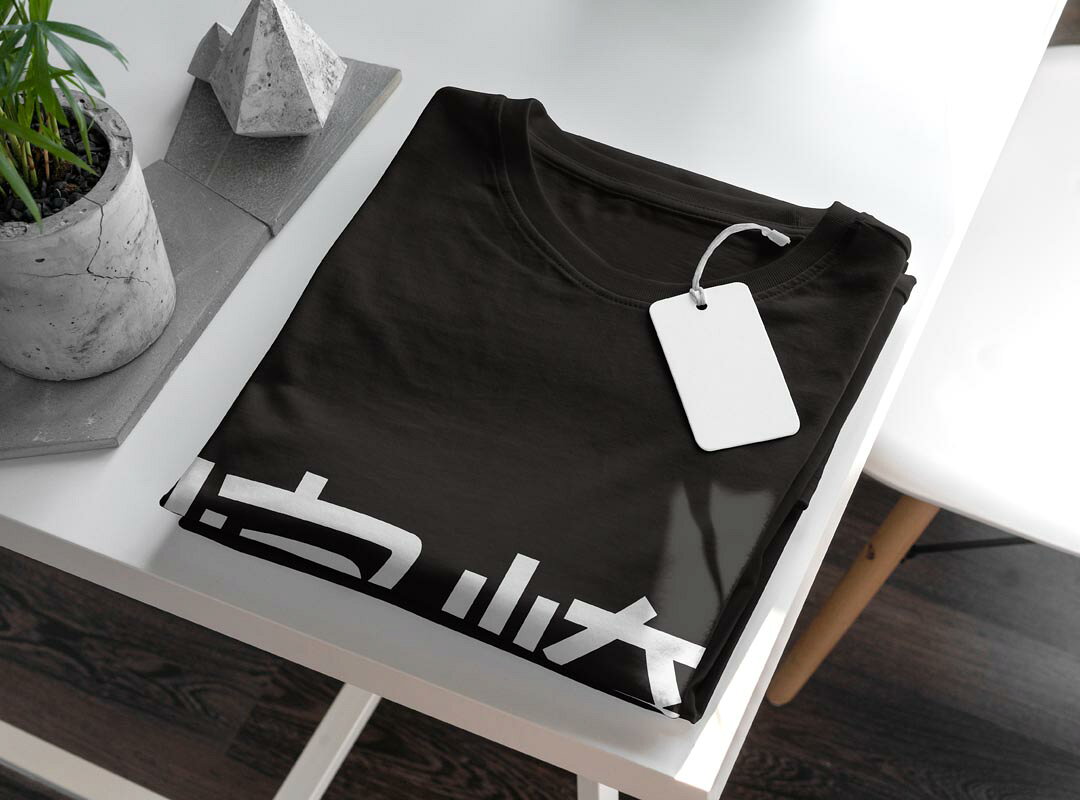 tシャツ レディース 半袖 ブラック 黒 デザイン M L Tシャツ ティーシャツ T shirt 021545 苗字 名前 宮崎 kabekore-11279610 kabeコレ サンプル画像3